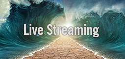 Live Streaming