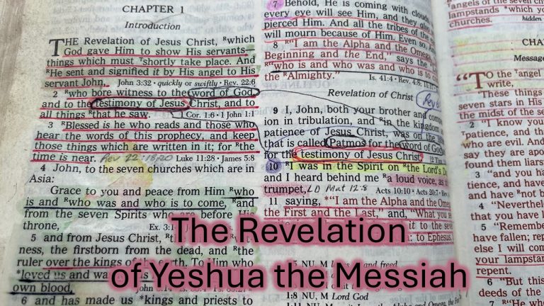 Revelation Full Playlist